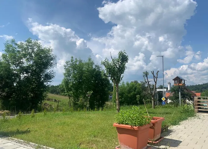 Olive الدنغن مولهوفن