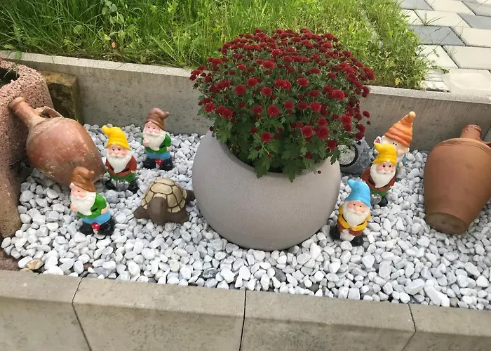 Olive * الدنغن مولهوفن